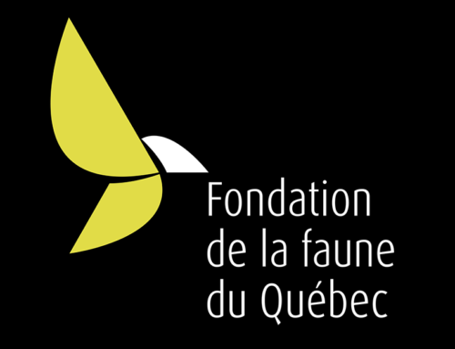 Fondation de la faune du Québec approuve 17 nouveaux projets